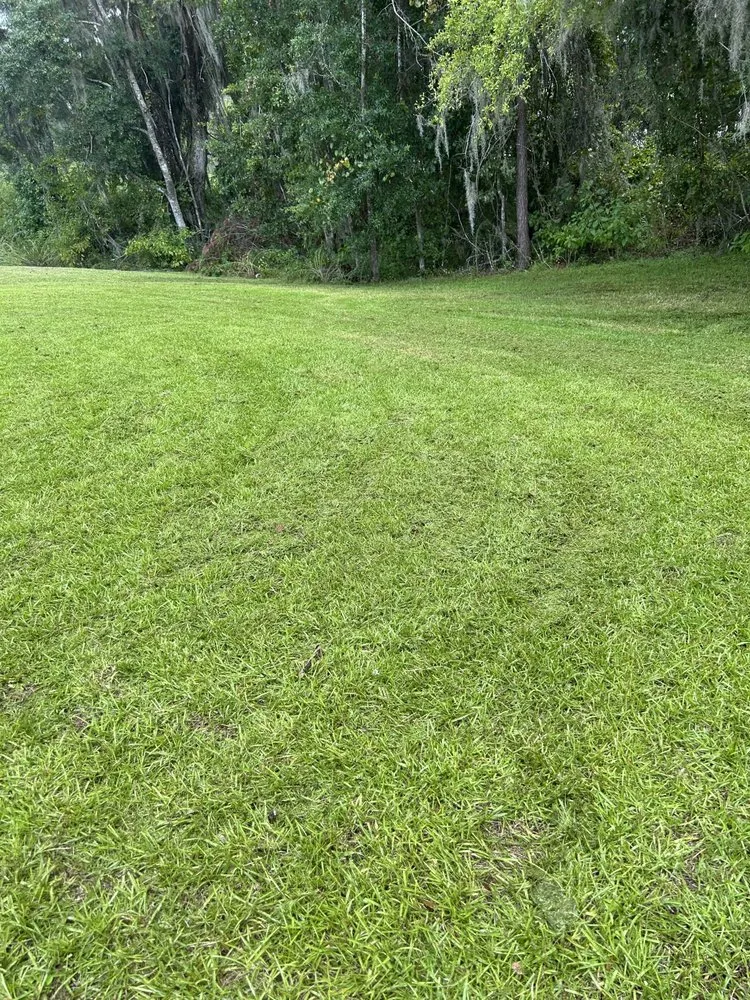 Affordable residential landscaping in Woodlynne, NJ - A1 Lawn Maintenance