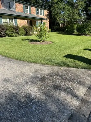 A1 Lawn Maintenance