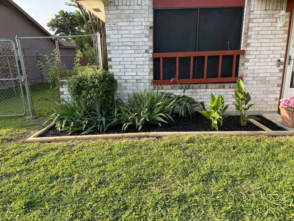 Custom yard cleanup service in Dallas, TX - A1 lawn service