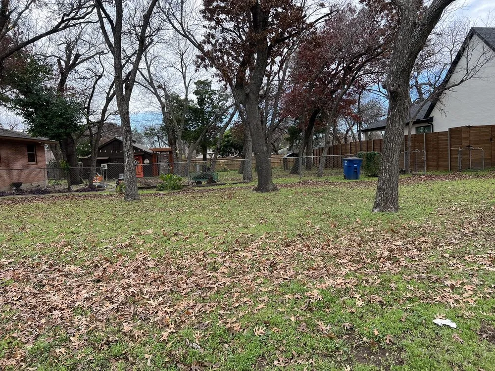 Affordable yard cleanup service in Dallas, TX by A1 lawn service