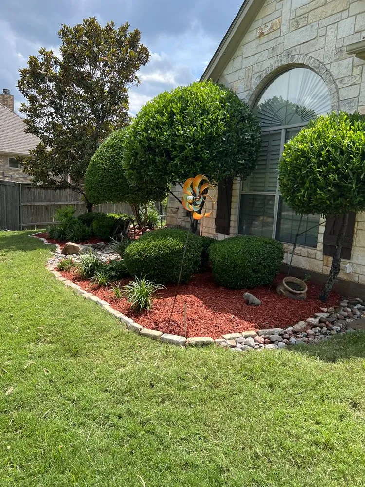Top-rated yard maintenance in Dallas, TX by A1 lawn service
