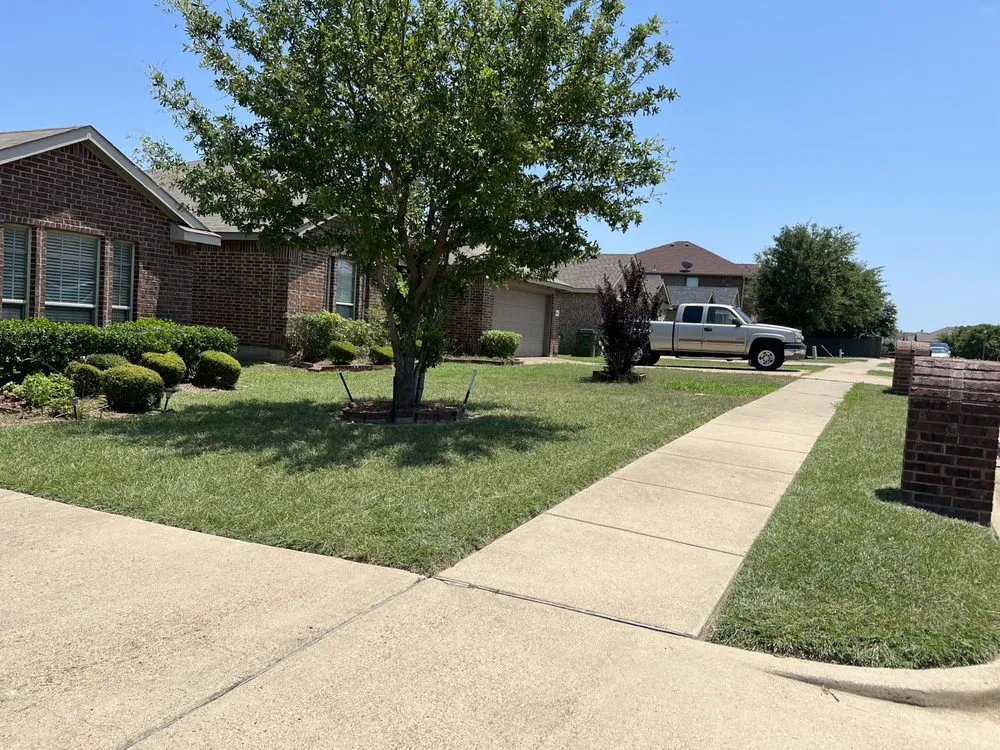 Top-rated yard cleanup service experts serving Dallas, TX - A1 lawn service