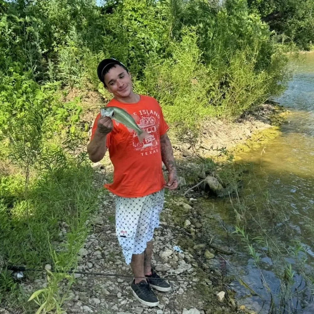 Local residential landscaping for beautiful yards in Fort Worth, TX by A1 Lawn Service