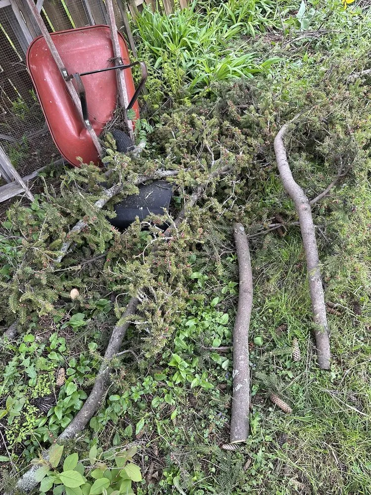 Top-rated yard cleanup service in Eveleth, MN by A1 Lawn, Snow & Tree Service LLC - Eveleth, MN