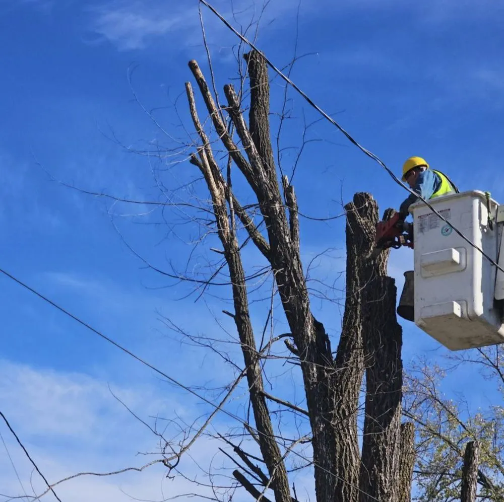 Reliable lawn mowing service in Hibbing, MN by A1 Lawn, Snow & Tree Service LLC - Hibbing, MN