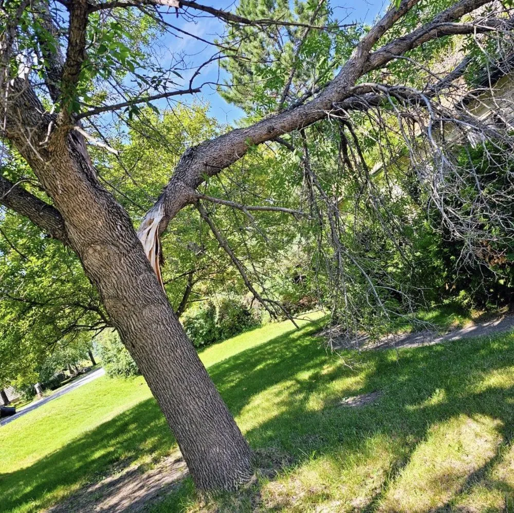 Expert landscape design in Hibbing, MN by A1 Lawn, Snow & Tree Service LLC - Hibbing, MN