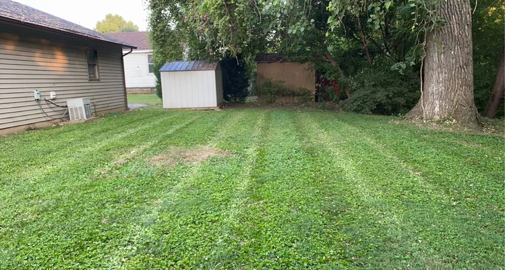 Local landscape design for outdoor upgrades in Owensboro, KY by A1 Lawnscapes