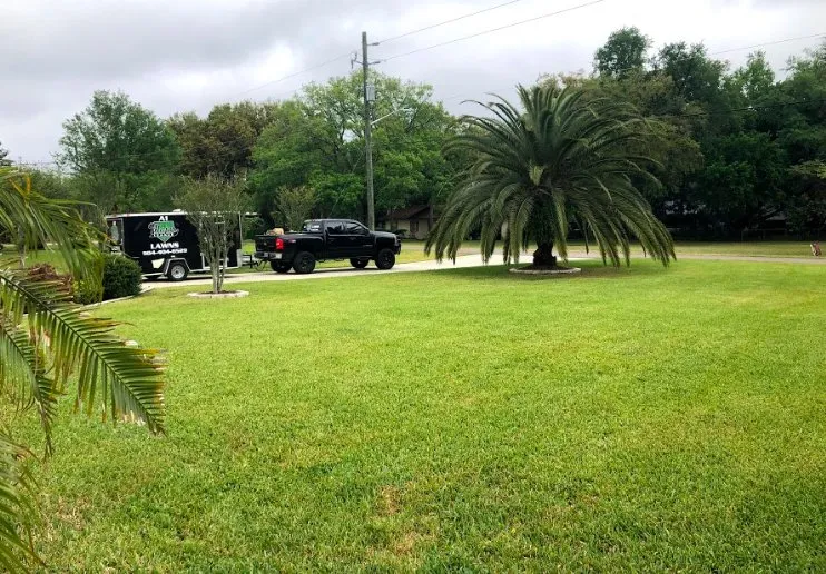 Local lawn care service for year-round maintenance in Fernandina Beach, FL by A1 Major League Lawns