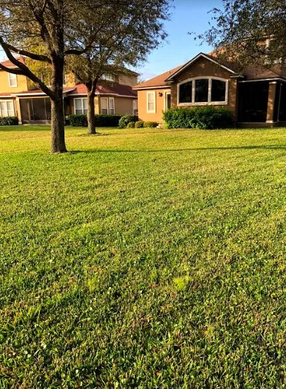 Trusted yard cleanup service in Fernandina Beach, FL by A1 Major League Lawns