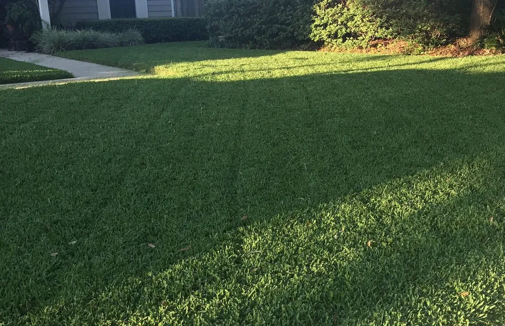 Professional lawn care service in Fernandina Beach, FL by A1 Major League Lawns