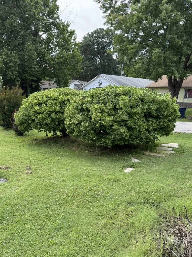 Affordable landscaping services in Coffeyville, KS - A1 Mowing and Landscaping