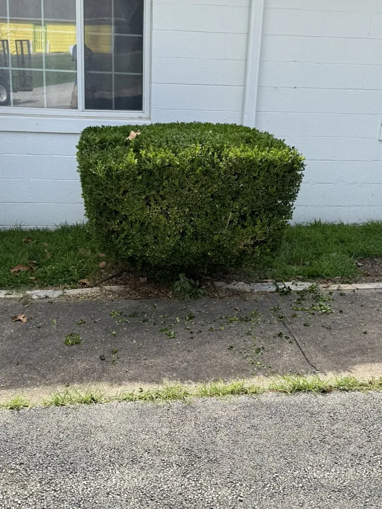 Local outdoor landscaping in Coffeyville, KS - A1 Mowing and Landscaping