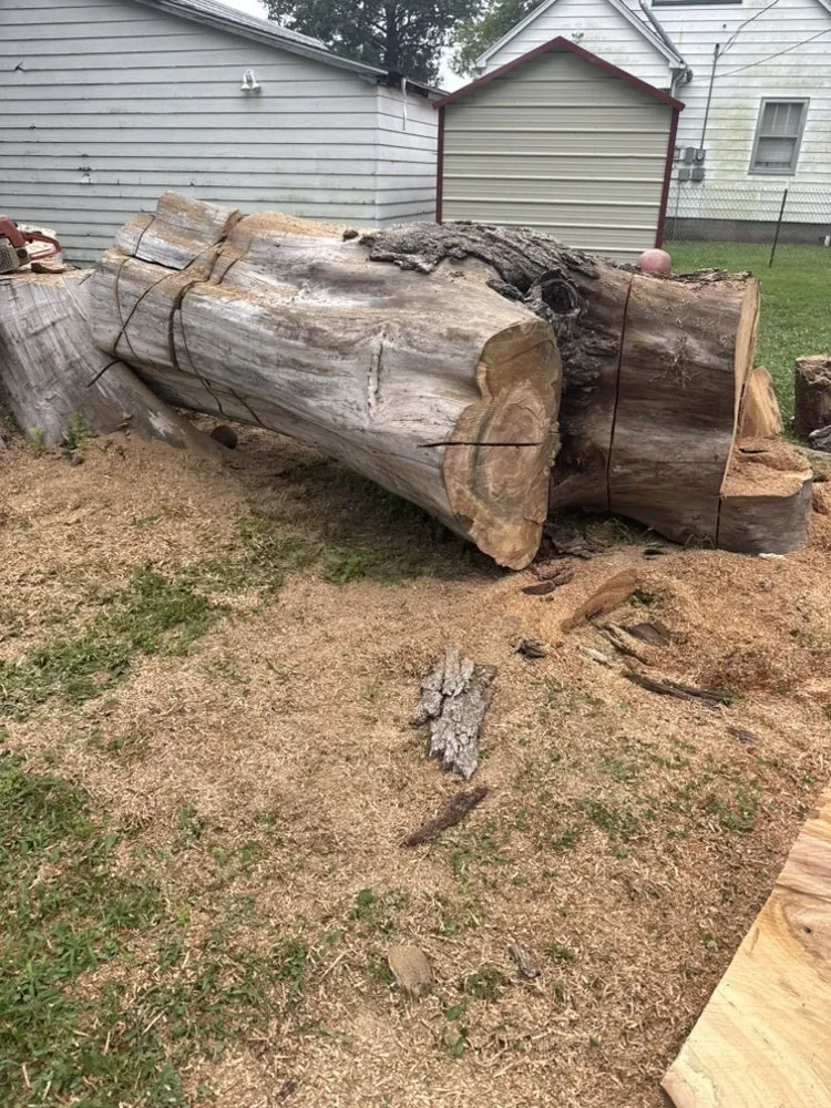 Professional landscape design for year-round maintenance in Coffeyville, KS by A1 Mowing and Landscaping