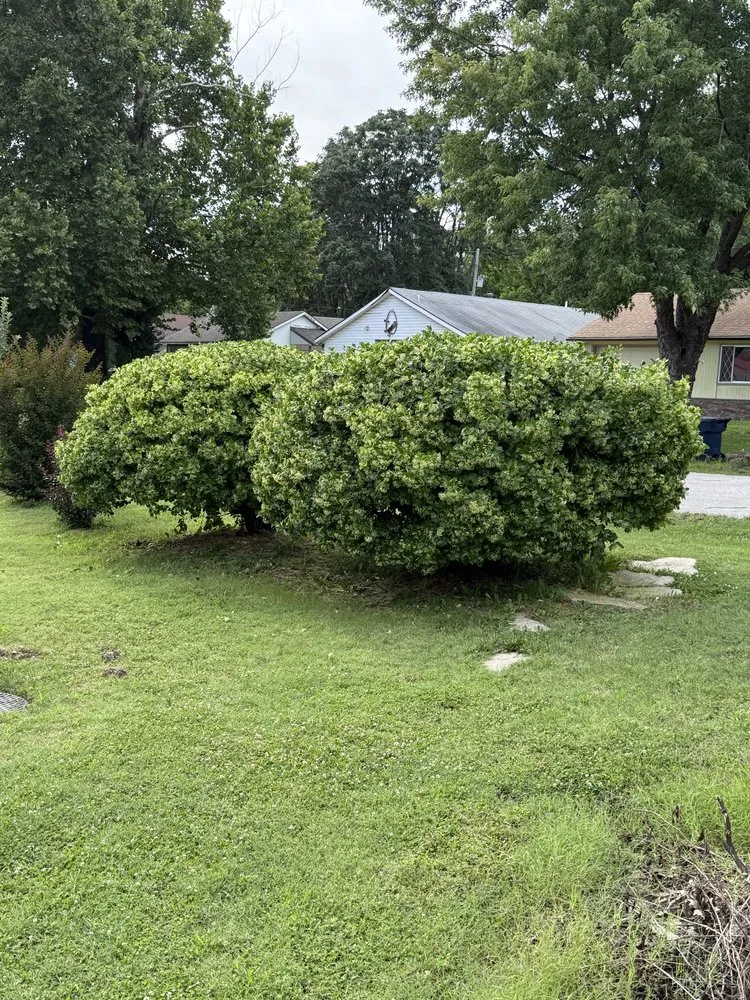 Reliable landscape installation near you across Coffeyville, KS - A1 Mowing and Landscaping