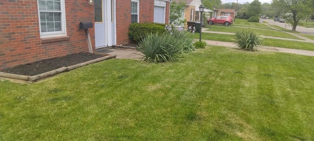 Professional lawn care service in Cincinnati, OH by A1 Mowing