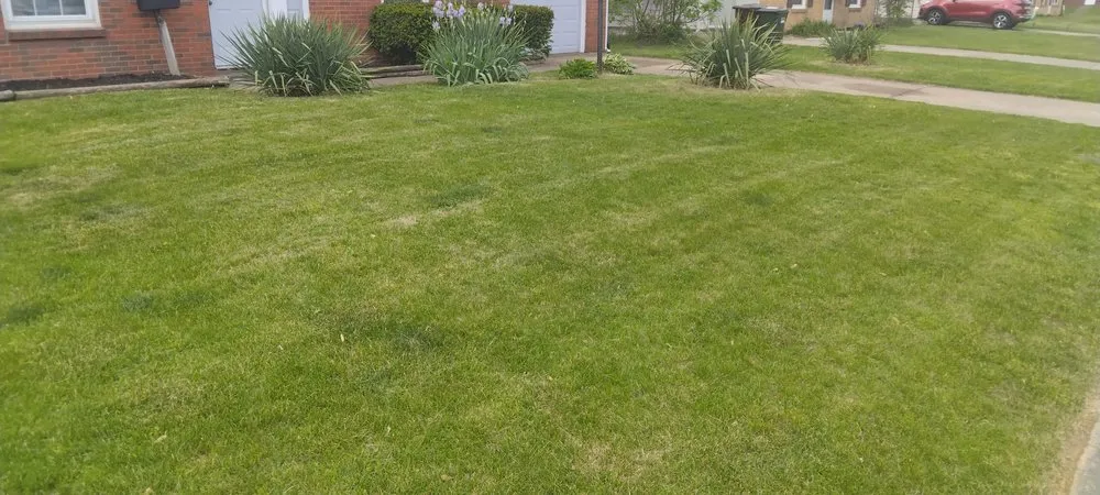 Reliable landscape design in Cincinnati, OH - A1 Mowing