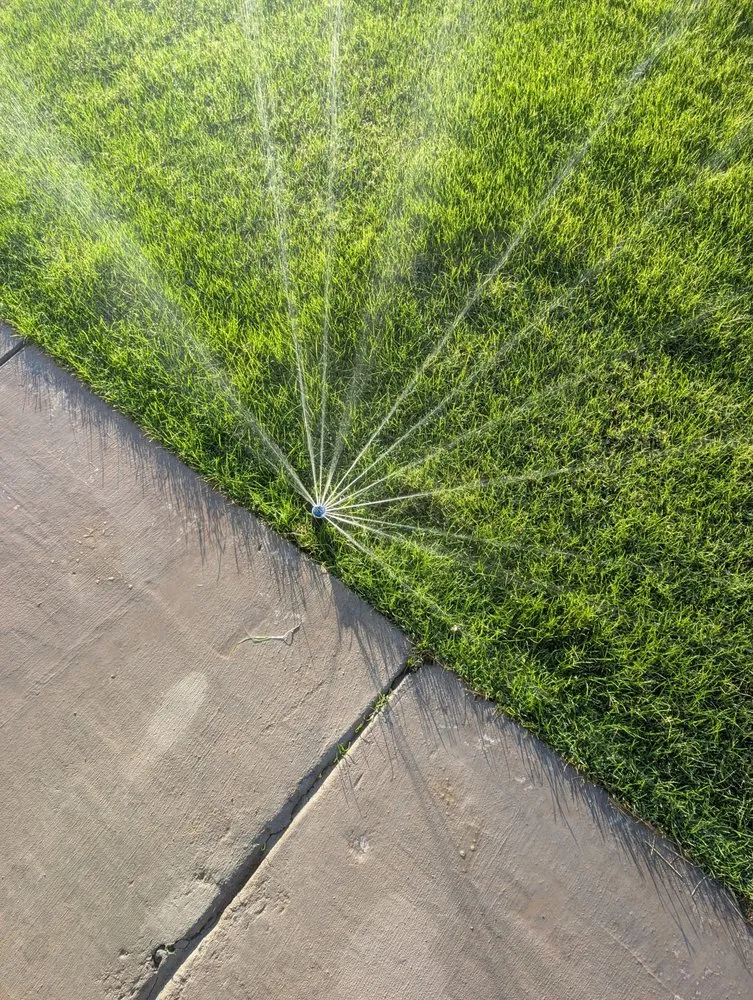 Affordable landscaping services for residential properties in Phoenix, AZ by A1 Outdoor Services