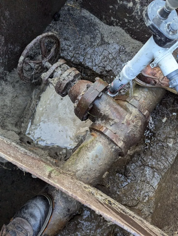 Trusted outdoor landscaping with custom design in Phoenix, AZ by A1 Outdoor Services