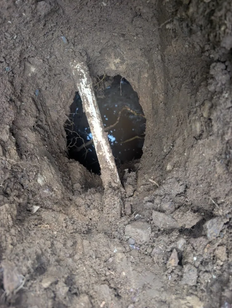 Affordable yard cleanup service for beautiful yards in Phoenix, AZ by A1 Outdoor Services