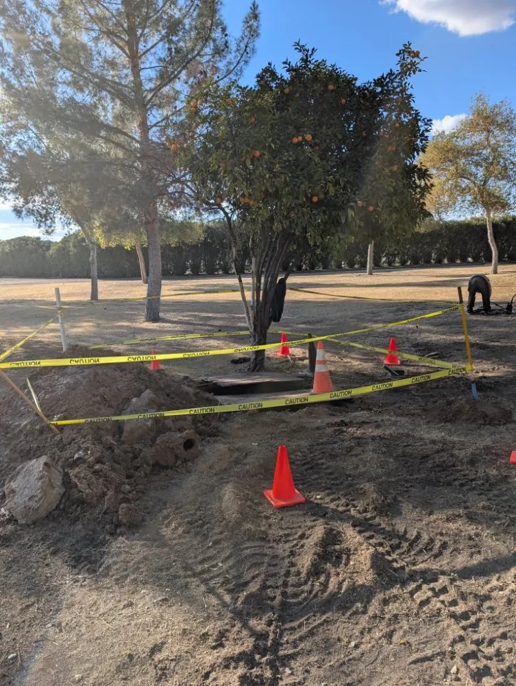 Professional landscaping services experts serving Phoenix, AZ - A1 Outdoor Services