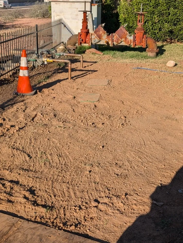 Professional yard cleanup service for homes in Phoenix, AZ by A1 Outdoor Services