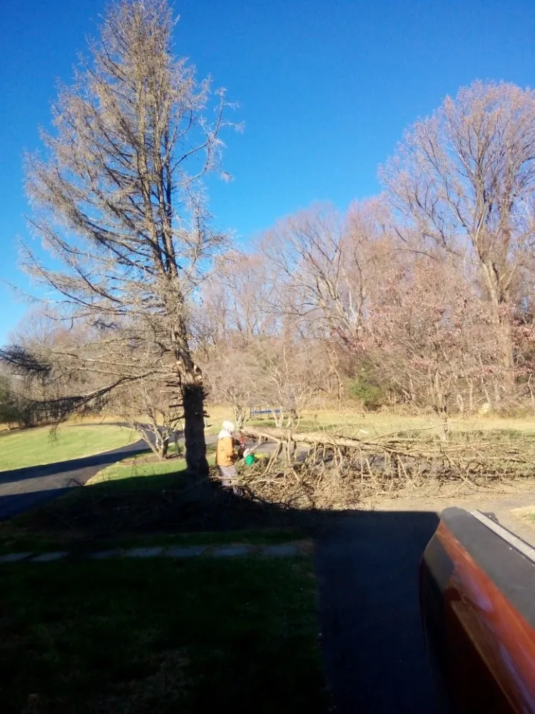 Custom lawn care service for year-round maintenance across Richardsville, VA - A1 Outdoor Services