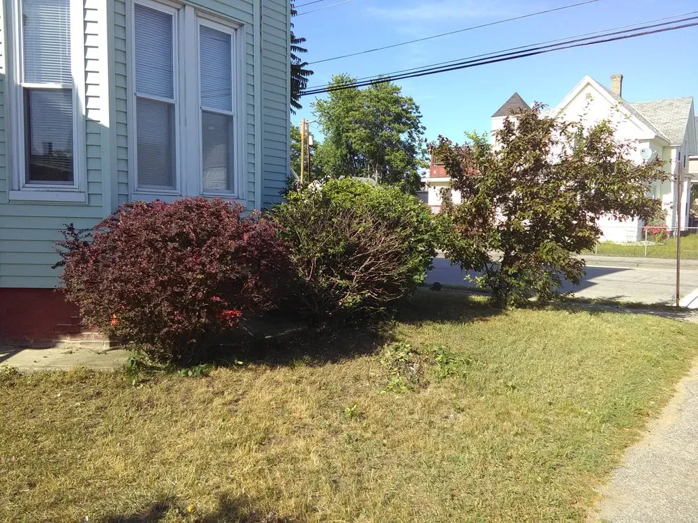 Local residential landscaping experts serving New Boston, NH - A1 Pools And Handyman Services