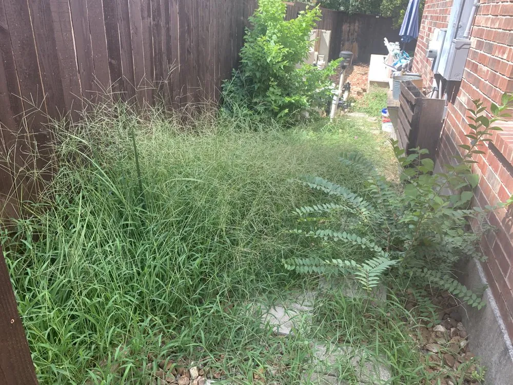 Affordable residential landscaping experts serving San Antonio, TX - A1 Pressure Washing And Lawn Care