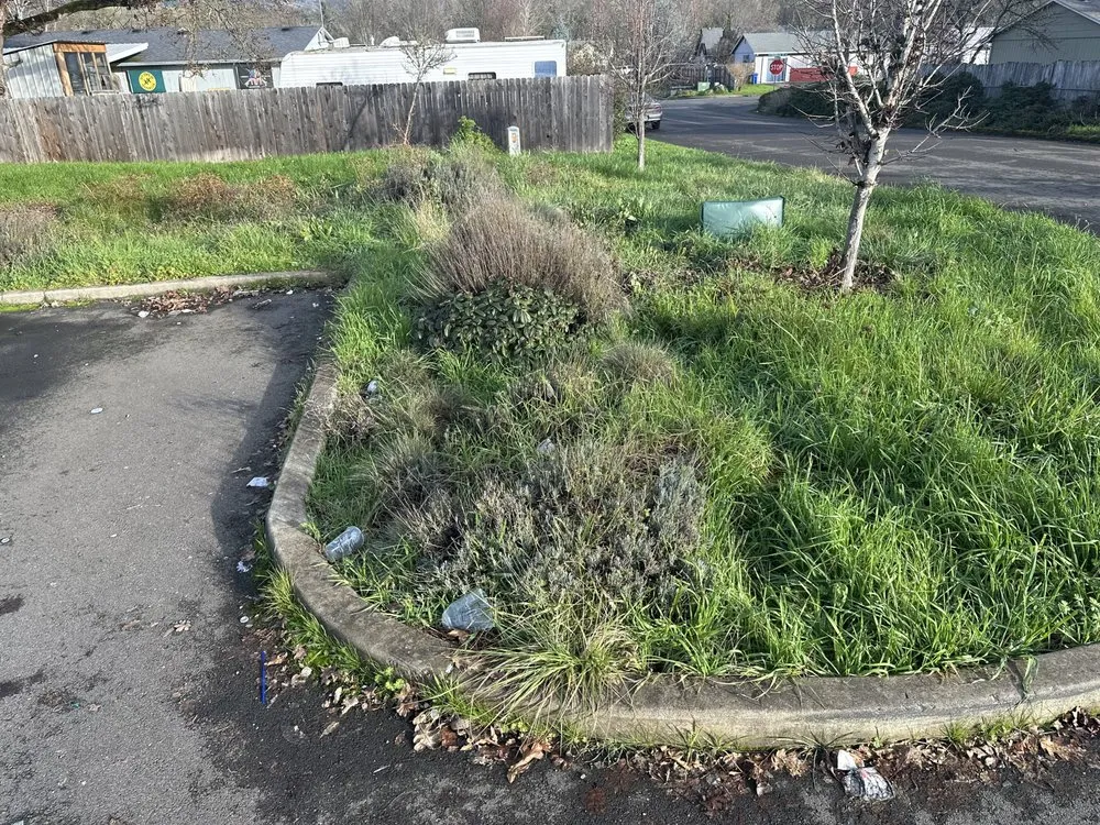 Custom yard maintenance in Roseburg, OR by A1 Pro Lawn Care