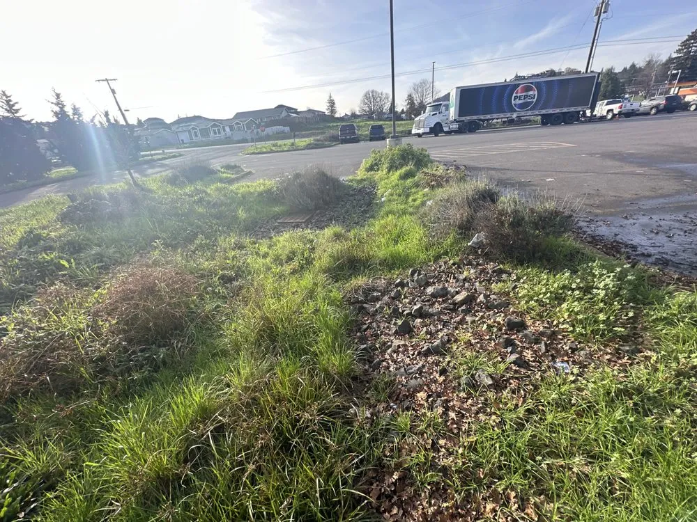 Professional landscape design in Roseburg, OR by A1 Pro Lawn Care