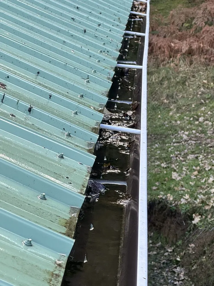 Affordable outdoor landscaping in Roseburg, OR by A1 Pro Lawn Care