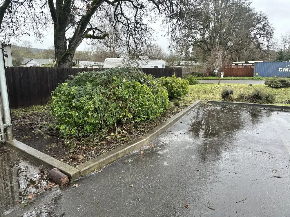 Top-rated landscaping services experts serving Roseburg, OR - A1 Pro Lawn Care