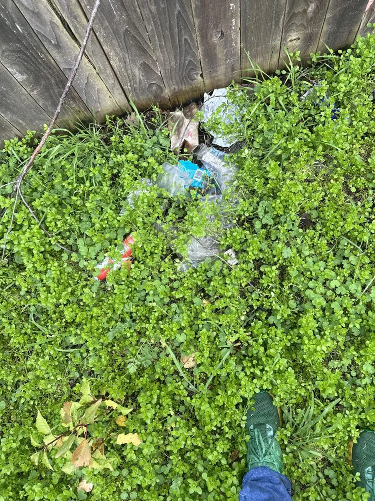 Trusted lawn mowing service for residential properties across Roseburg, OR - A1 Pro Lawn Care