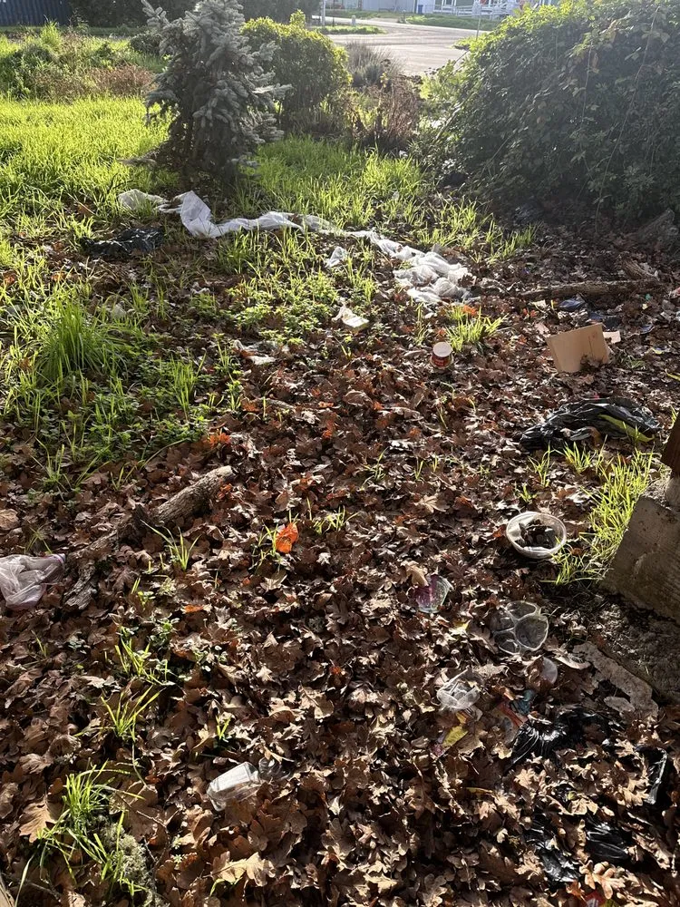 Top-rated yard maintenance for beautiful yards in Roseburg, OR by A1 Pro Lawn Care