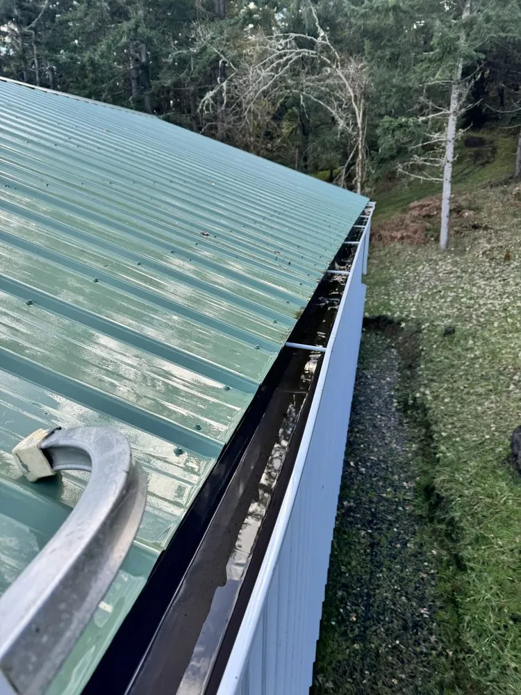 Expert yard cleanup service for residential properties across Roseburg, OR - A1 Pro Lawn Care