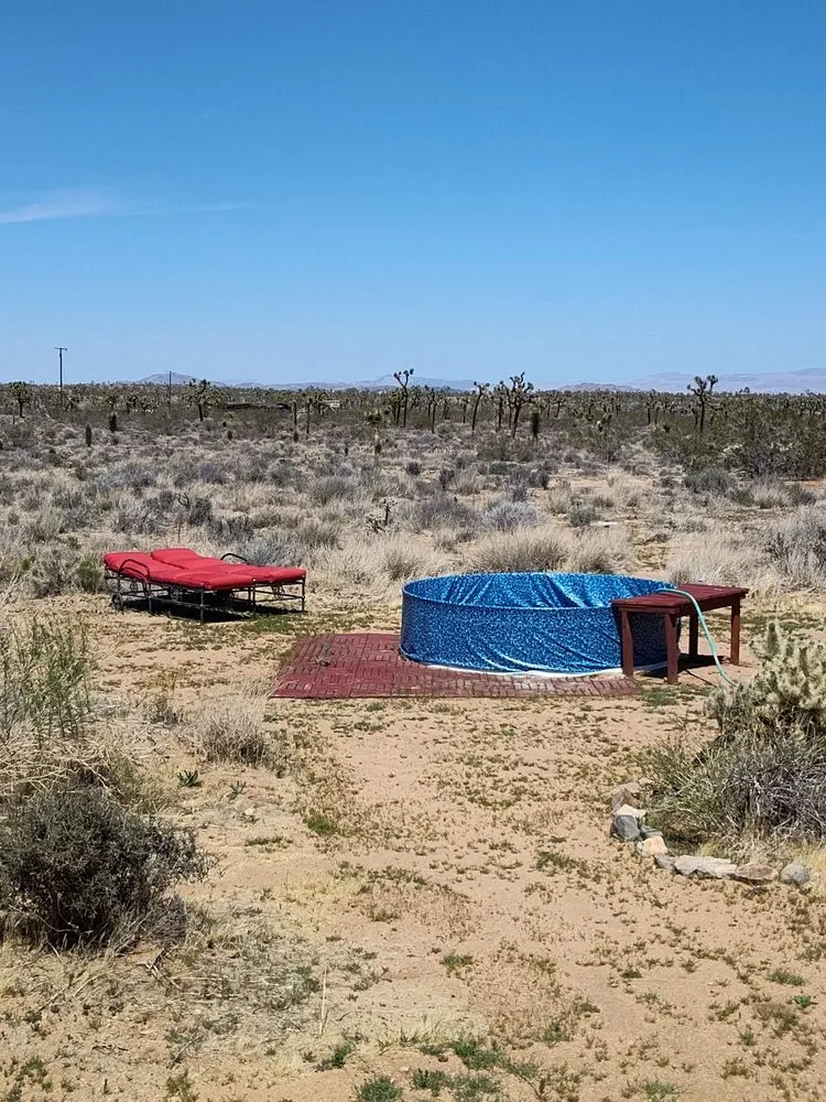 Reliable lawn mowing service for homes in Yucca Valley, CA by A1 Royalty Cleaning Services