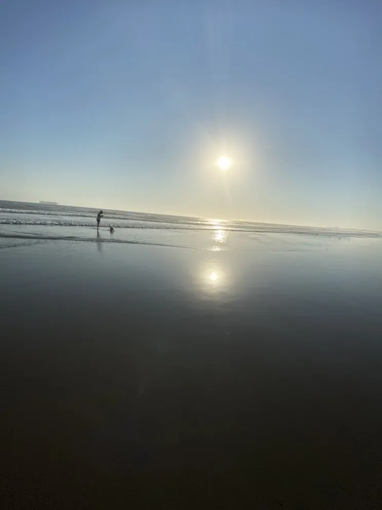 Custom landscape design with custom design in Yucca Valley, CA by A1 Royalty Cleaning Services