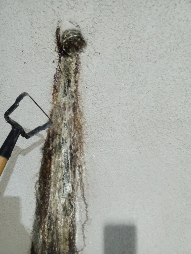 Top-rated garden landscaping experts serving Yucca Valley, CA - A1 Royalty Cleaning Services