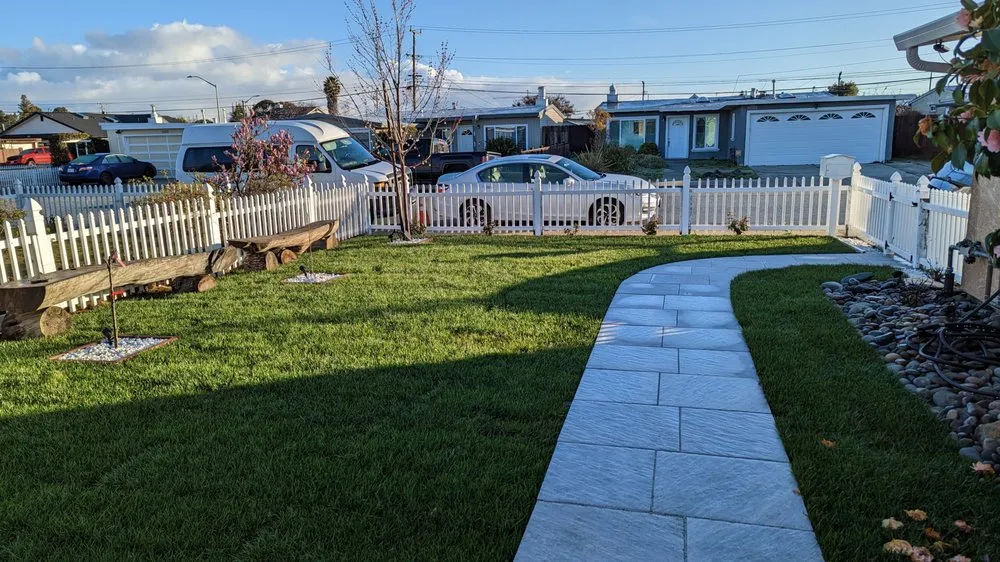 Expert yard cleanup service in San Jose, CA by A1 Scapes