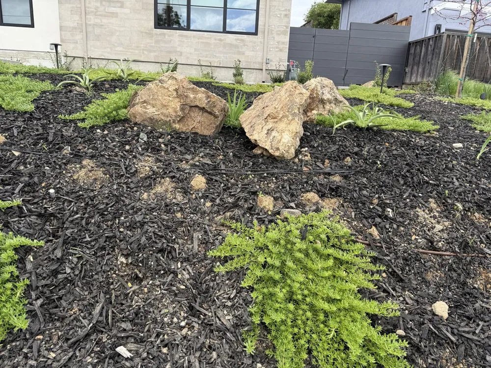 Affordable landscaping services experts serving San Jose, CA - A1 Scapes