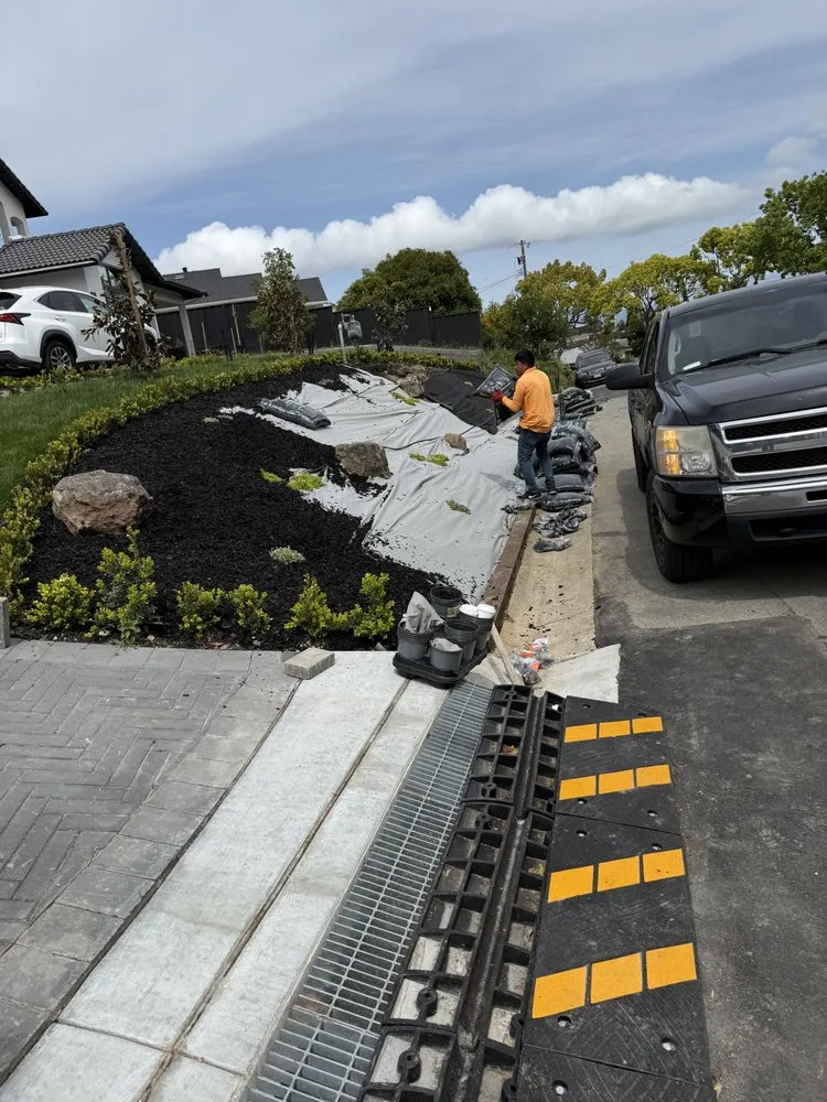 Custom yard cleanup service near you across San Jose, CA - A1 Scapes