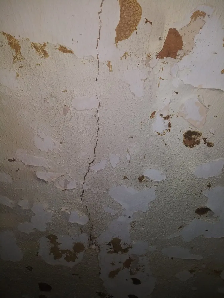 Trusted outdoor landscaping near you across Bossier City, LA - A1 Services