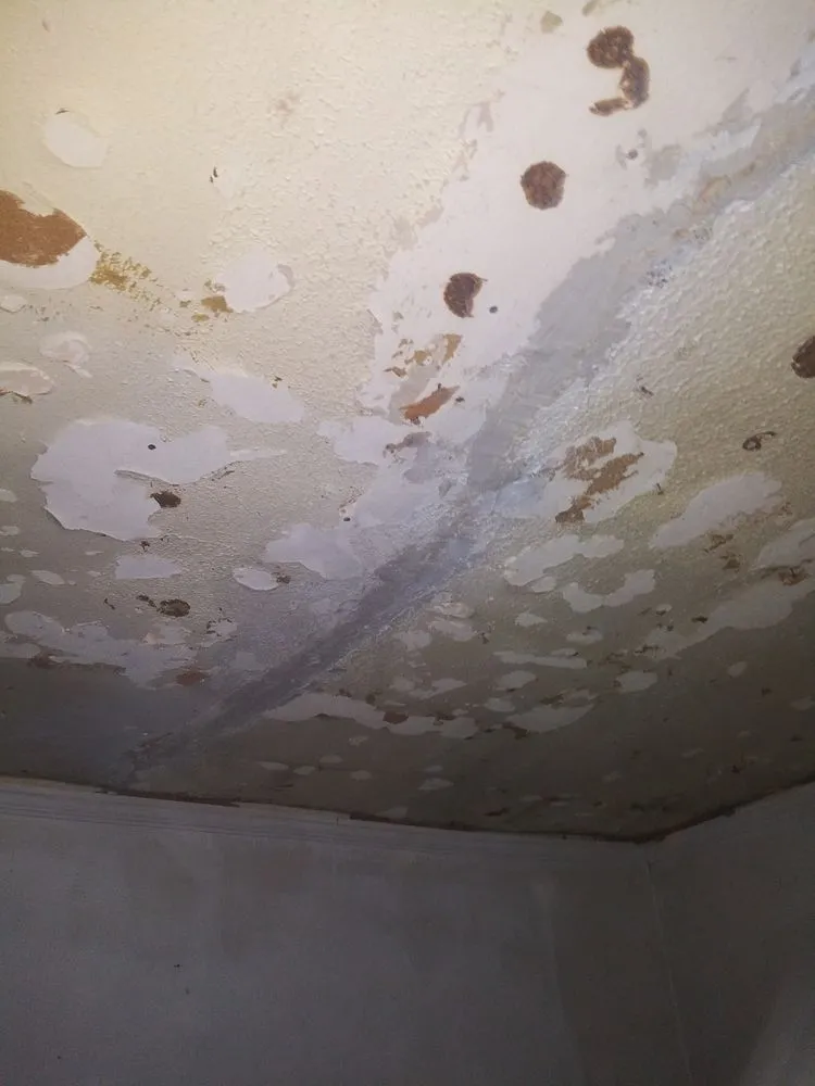 Custom outdoor landscaping in Bossier City, LA - A1 Services