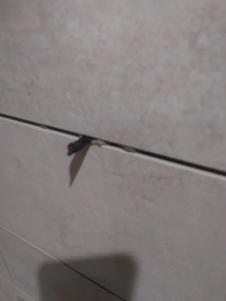 Custom landscaping services near you in Fond du Lac, WI by A1 Services