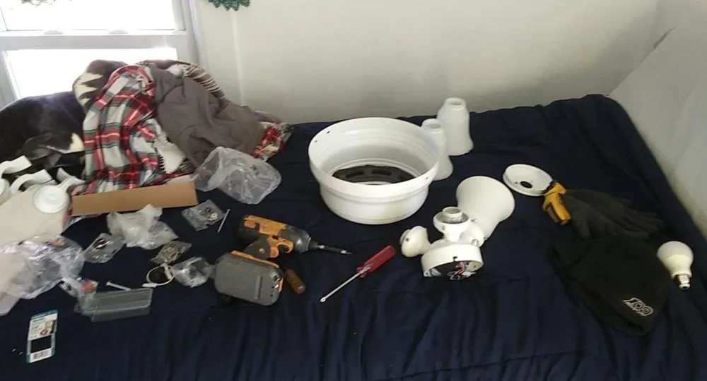 Reliable yard cleanup service near you in Fond du Lac, WI by A1 Services