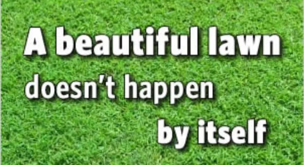 Expert lawn mowing service in Mount Pleasant, MI - A1 Snow Removal & Lawncare