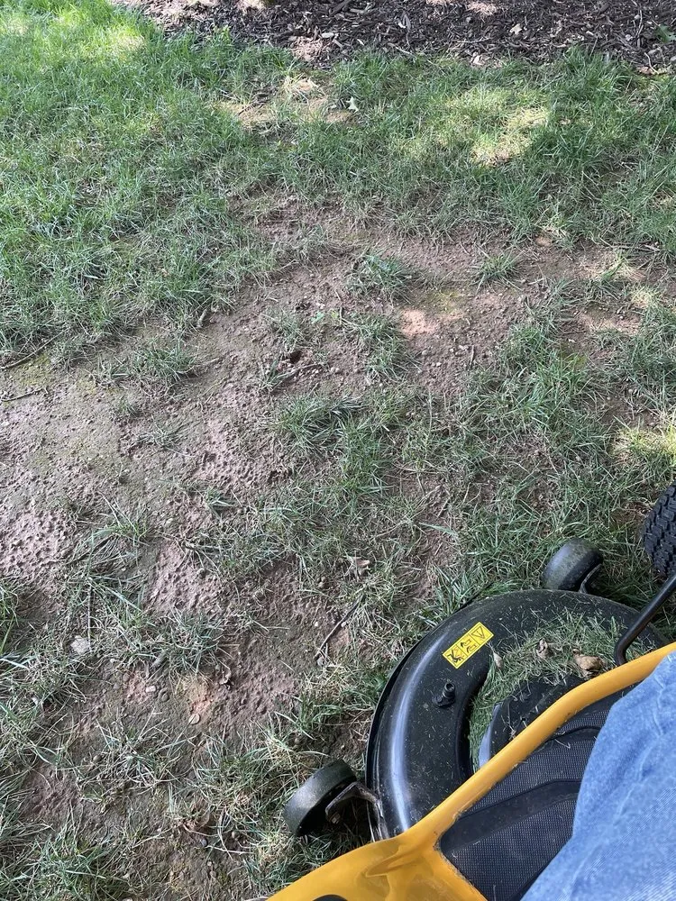 Local garden landscaping in Ellington, CT - A1 Snowplowing & Landscaping