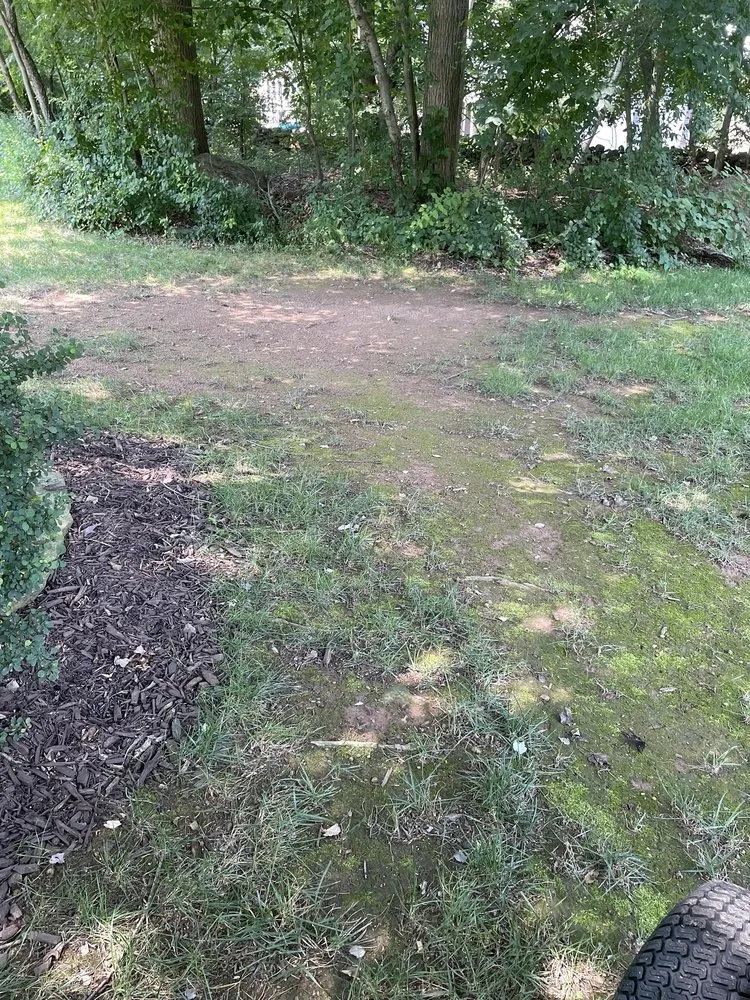 Top-rated landscape installation in Ellington, CT - A1 Snowplowing & Landscaping