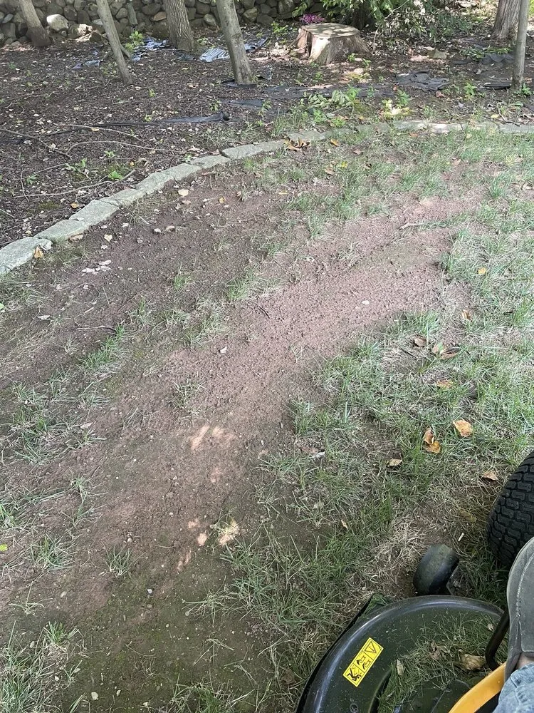 Affordable yard maintenance for beautiful yards in Ellington, CT by A1 Snowplowing & Landscaping