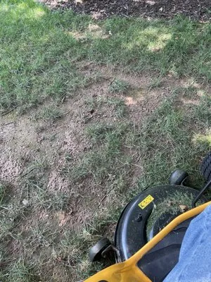 A1 Snowplowing & Landscaping